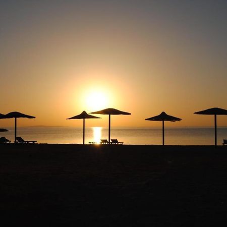 Cecelia Aparthotel Hurghada Exterior photo